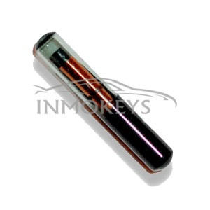 INX1