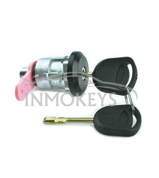 FO-FD013, PUERTA LEVA ROSA TRANSIT 95, FO21