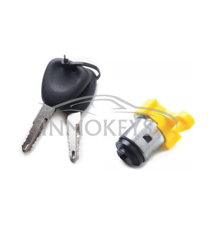RN-DL36, PUERTA TRASERA ELEVABLE KANGOO