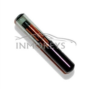 TPX4, ESPECIAL DUPLICACION ID46